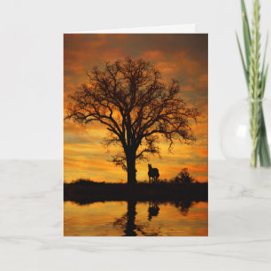 Hello Beautiful Day with Horse Water Oak Tree Card