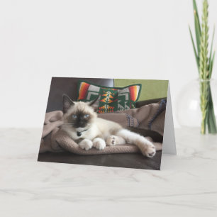 Hello Beautiful Siamese Kitten Thinking Of You Card