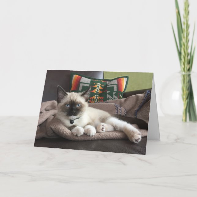 Hello Beautiful Siamese Kitten Thinking Of You Card (Front)