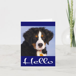 Hello Bernese Mountain Dog Puppy Dog Note Card