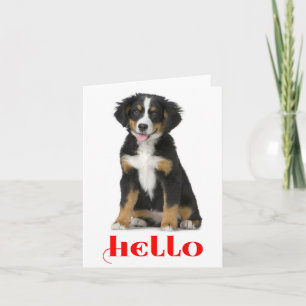 Hello Bernese Mountain Dog Puppy Dog Note Card