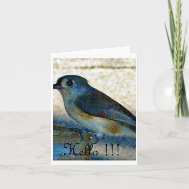 Hello bird card (Front)
