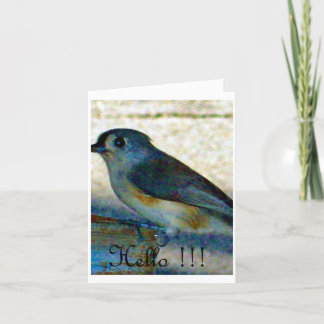 Hello bird card