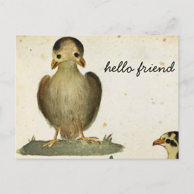 hello bird friend postcard (Front)