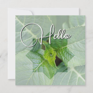Hello birth welcome greeting green card