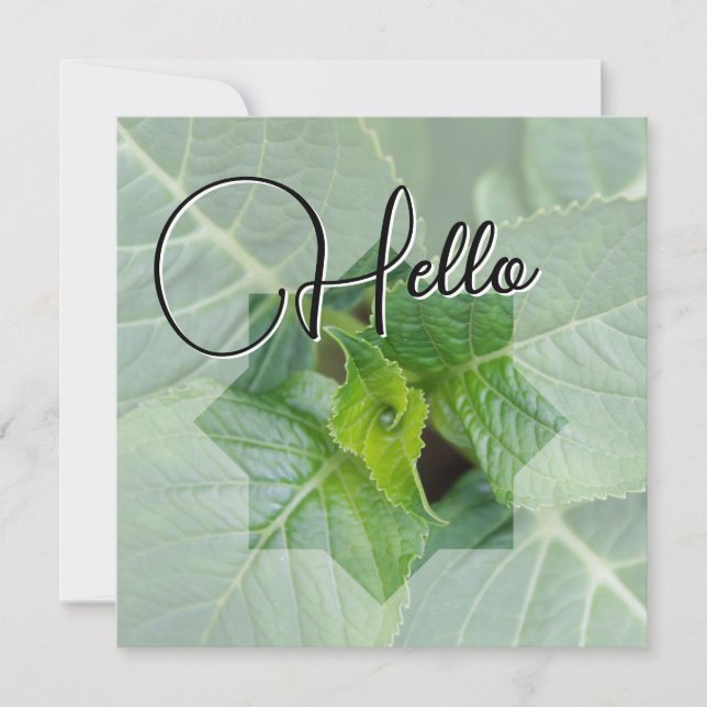 Hello birth welcome greeting green card (Front)