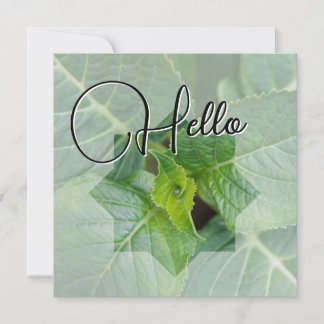 Hello birth welcome greeting green card