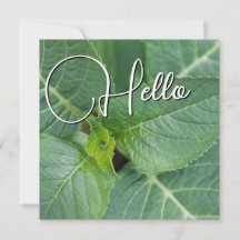 Hello birth welcome greeting green