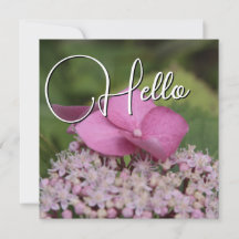 Hello birth welcome greeting rose