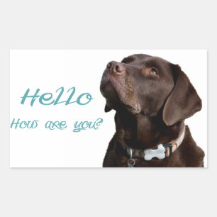 Hello Black Brown Labrador Retriever Sticker Label