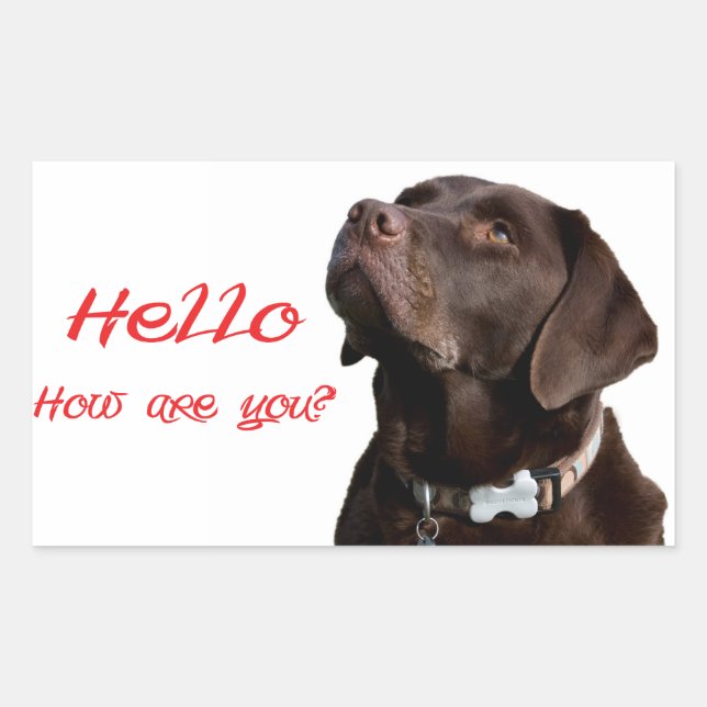 Hello Black Brown Labrador Retriever Sticker Label (Front)