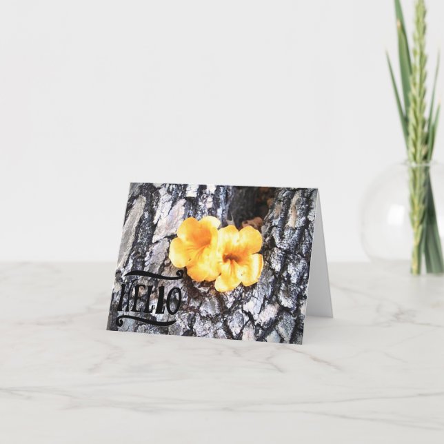 Hello Blank Greeting Card with Yellow Allamanda (Front)