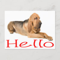 Hello Bloodhound Puppy Dog Greeting Post Card