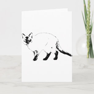 Hello Bold, Cat Line Card
