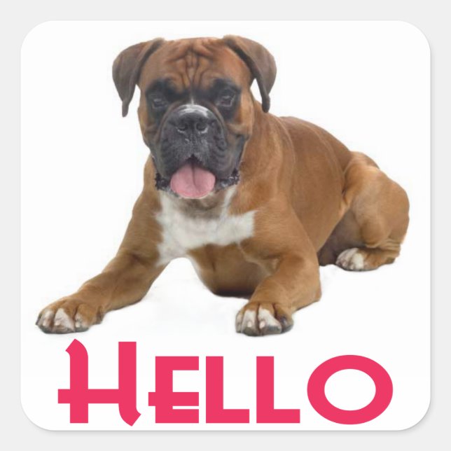 Hello Boxer Puppy Dog Greeting Sticker (Front)