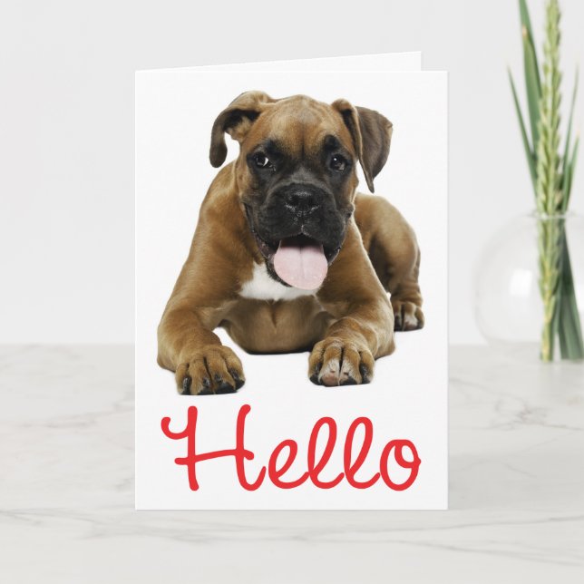 Hello Boxer Puppy Dog - Thinking of You, Love Card (Front)