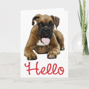 Hello Boxer Puppy Dog - Thinking of You, Love Card
