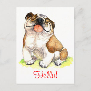 Hello Bulldog Puppy  Dog Greeting Postcard