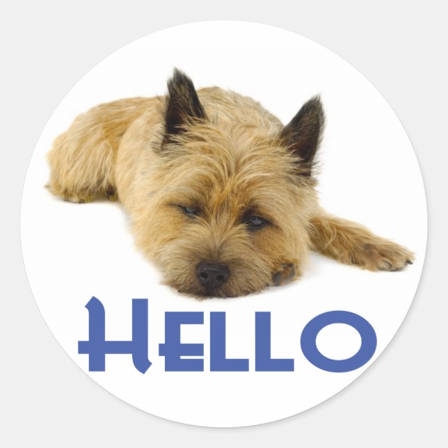 Hello Cairn Terrier Puppy Dog Greeting Stickers (Front)