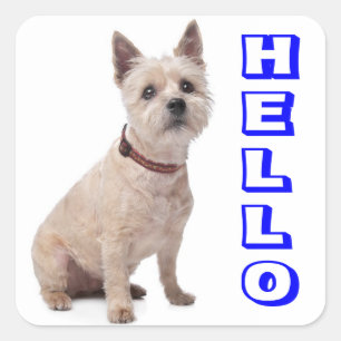 Hello Cairn Terrier Puppy Dog Greeting Stickers