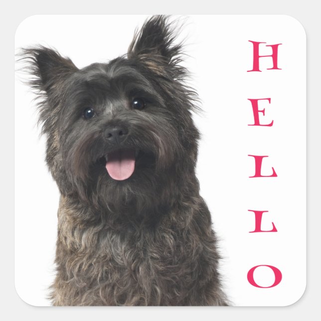 Hello Cairn Terrier Puppy Dog Stickers (Front)