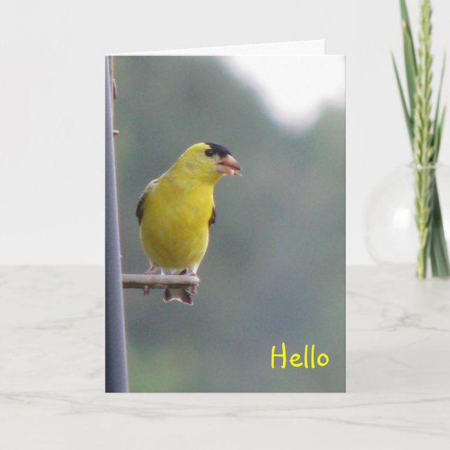 Hello Card (Front)
