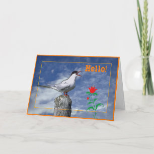 Hello card