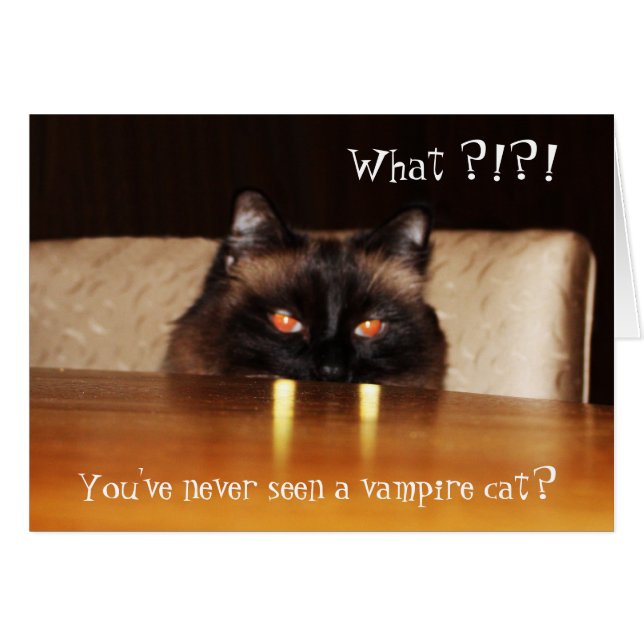 Hello Card Cute Funny Vampire Cat Photo (Front Horizontal)