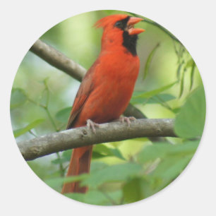 Hello! Classic Round Sticker