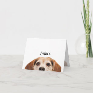 Hello Cute Funny Beagle Dog Modern Trendy Blank Card