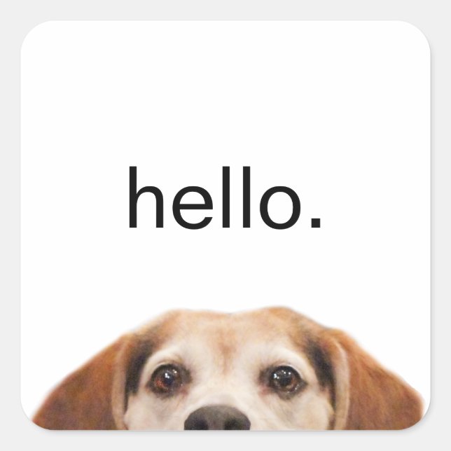 Hello Cute Funny Beagle Dog Modern Trendy Square Sticker (Front)