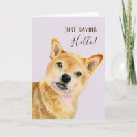 Hello | Cute Shiba Inu Dog