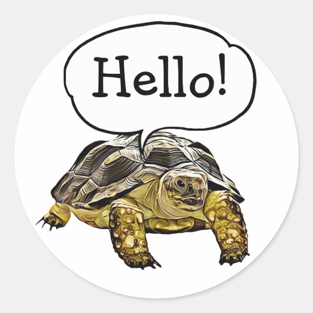 Hello Cute Turtle Stickers (Front)
