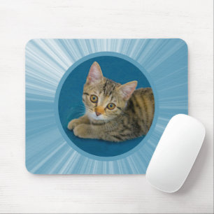 Hello cutie - cute kitten mouse pad