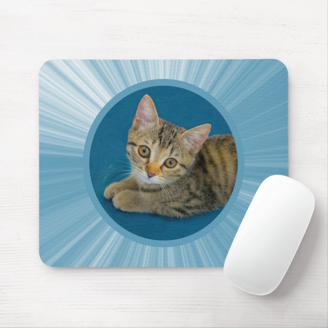 Hello cutie - cute kitten mouse pad (With Mouse)