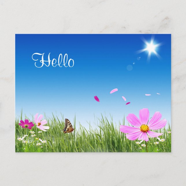 Hello Daisy Butterfly Flower Garden Post Card (Front)