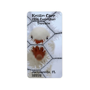 Hello! Duck behind frosted fence Return Address  Label