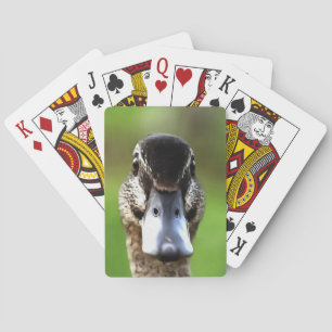 Hello Ducky Quirky Duck Portrait Playing Cards