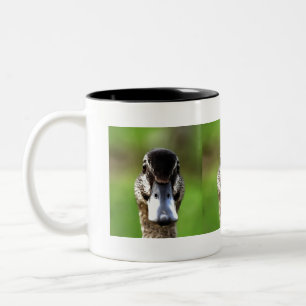Hello Ducky Quirky Duck Portrait Two-Tone Coffee Mug