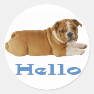 Hello English Bulldog Puppy Dog ticker / Seal