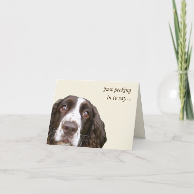 Hello English Springer Spaniel Card (Front)