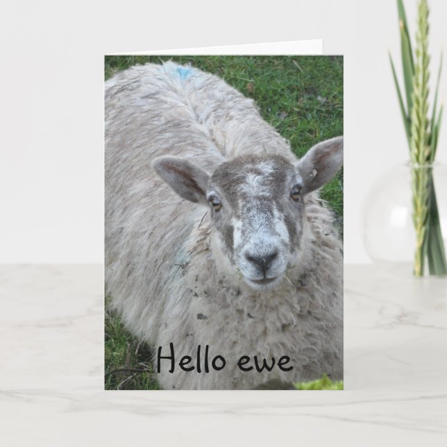 Hello Ewe Card (Front)