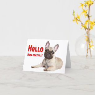 Hello French Bulldog Dog Thinking of You Love  Card