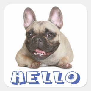Hello French Bulldog Puppy Dog Sticker Seal