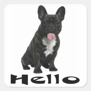 Hello French Bulldog Puppy Dog Sticker / Seals