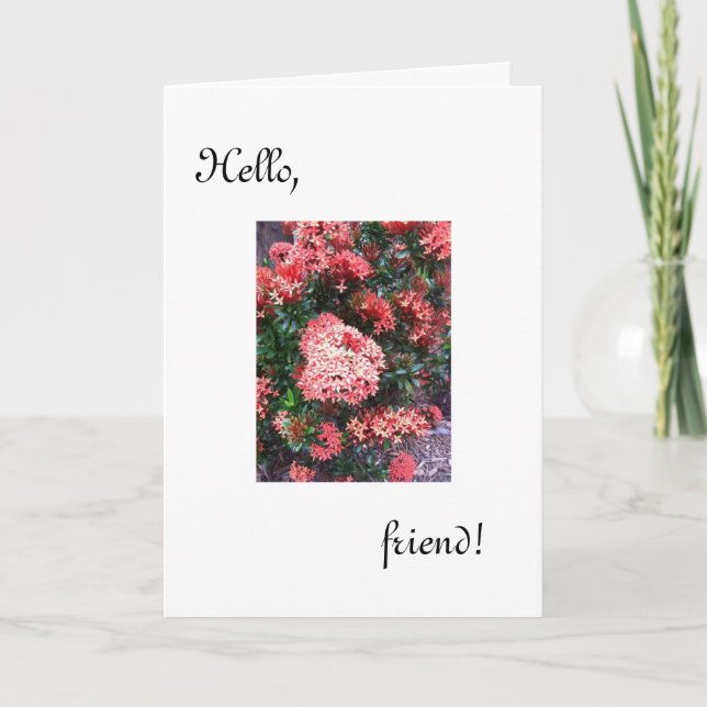 Hello Friend card /been thinking of you (Front)