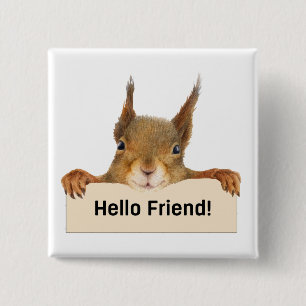 Hello Friend Funny Squirrel 15 Cm Square Badge