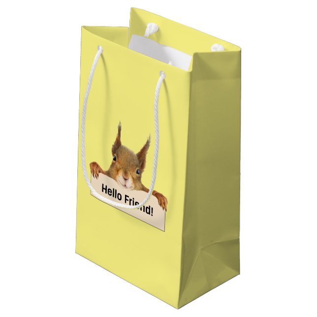 Hello Friend Funny Squirrel  Small Gift Bag (Back Angled)