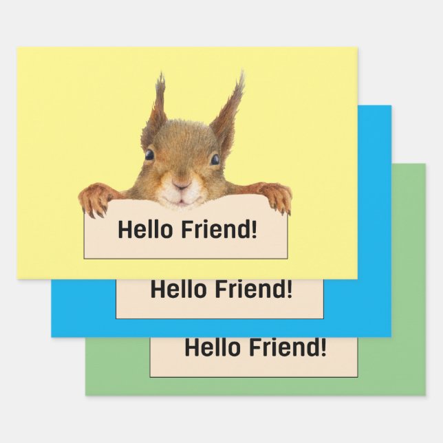 Hello Friend Funny Squirrel  Wrapping Paper Sheet (Set)