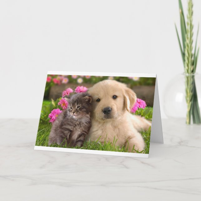 Hello Friend Golden Retriever Puppy Kitten Card (Front)